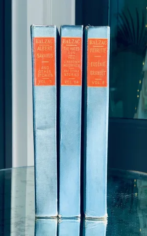 Antique Books Red Blue