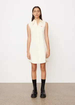 Antique Dress