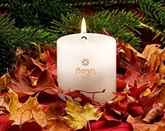 Floryn Decor White Pillar Candles for Decoration | Smokeless | Odourless | Dripless (4 * 6 inches)