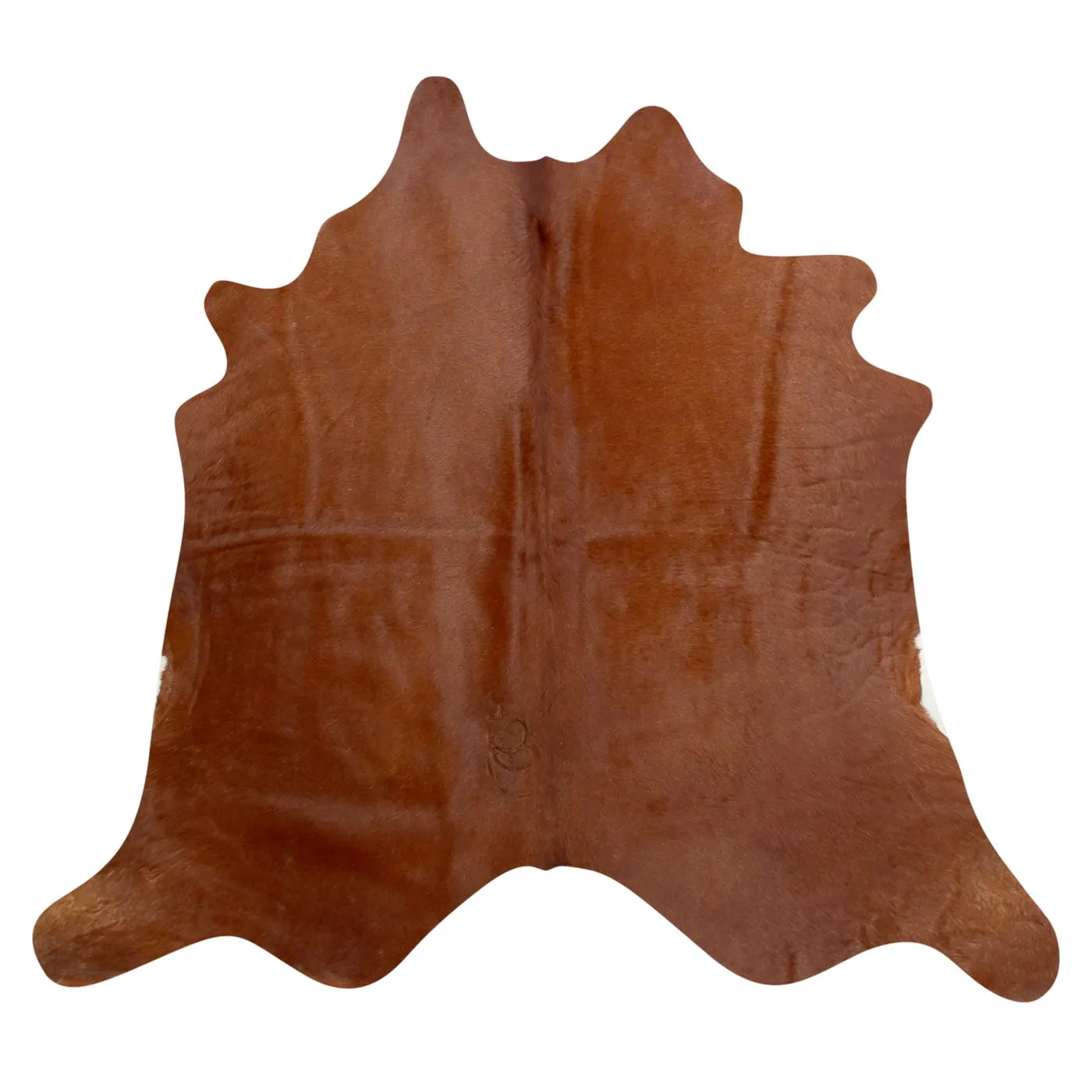 Natural Argentine Cowhide 4' 9" x 4' 7"