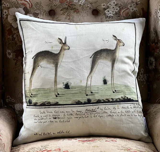 Square cushion digitally printed linen
